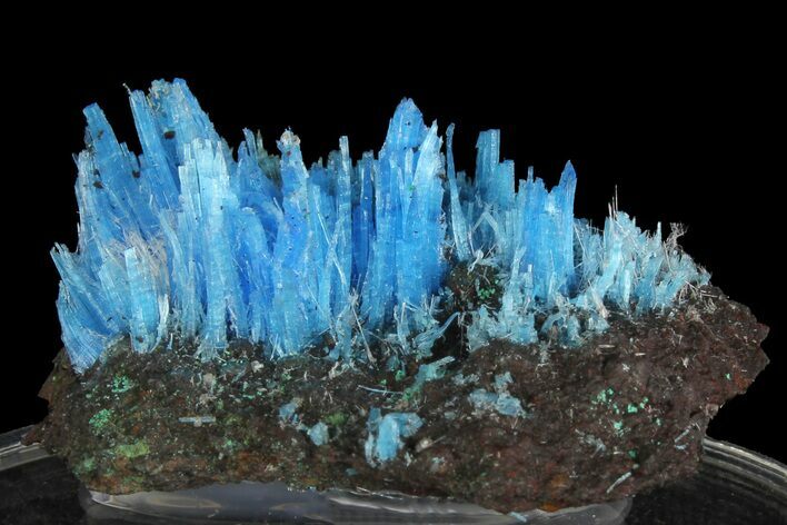 Vibrant Blue Chalcanthite - Planet Mine, Arizona #176490